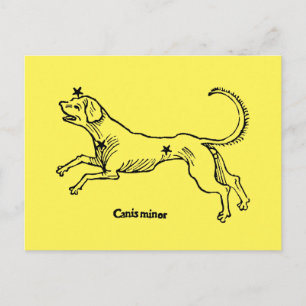 Carte Postale Petit Chien, 1482