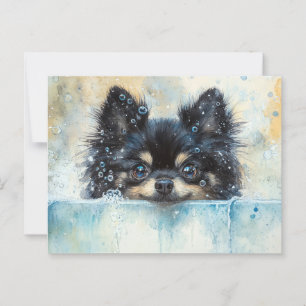 Carte Postale Petit Chien de Poméranie dans la baignoire