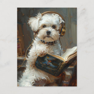 Carte Postale Petit Chien Mignonne Lire Un Livre