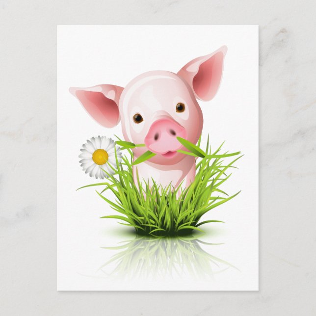 Carte Postale Petit cochon rose dans l'herbe (Devant)
