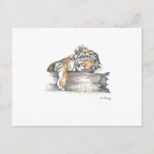 Carte Postale Petit du cub dort