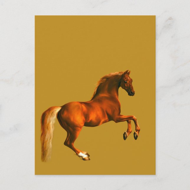 Carte Postale Petit-fils du Godolphin Arabian ... Doré (Devant)