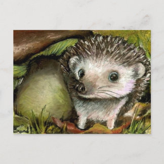 Carte Postale Petit hérisson