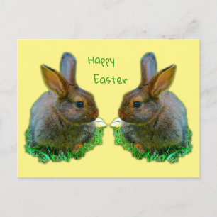 Carte Postale Petit Lapin