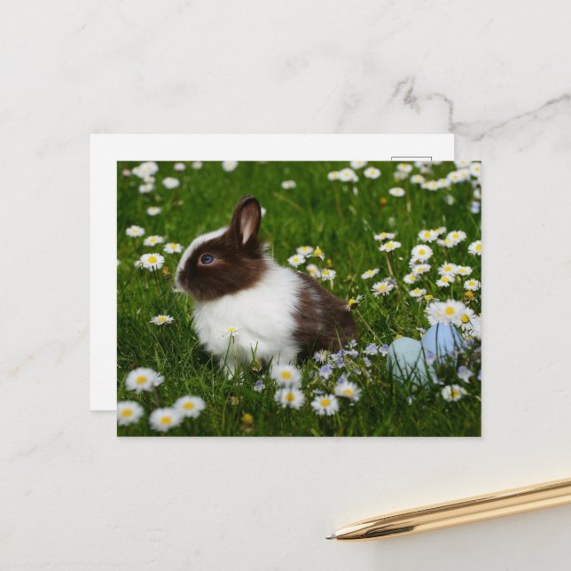 Carte Postale Petit lapin Brown et blanc en fleurs (Devant/Arrière en situation)