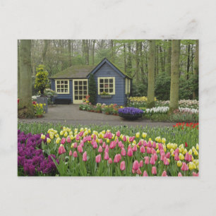 Carte Postale Petit magasin de fleurs de cottage, Jardins de Keu