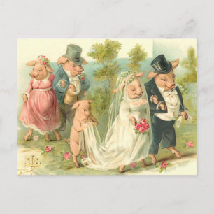 Carte Postale Petit Mariage Piggy