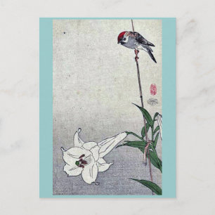 Carte Postale Petit oiseau sur le plante de lièvre par Baison, U