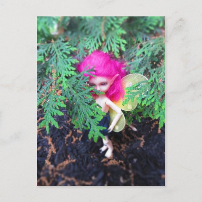 Carte Postale Petit Ours Repris, Poupée Asiatique Jointe À La Ba (Devant)