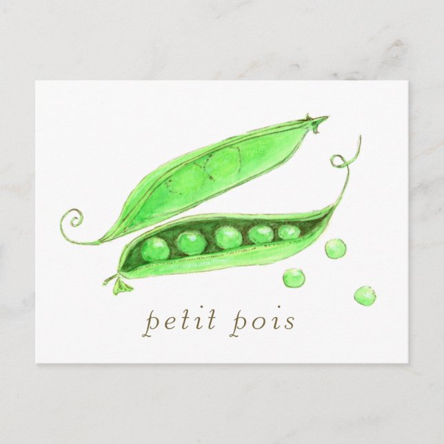 Carte Postale Petit Pois (Devant)