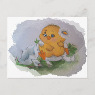Carte Postale Petit poulet