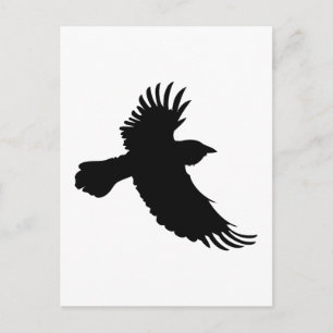 CARTE POSTALE PETIT RAVEN
