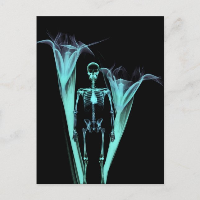 Carte Postale Petit Skeleton et Fleurs X-Ray humain - Turquoise (Devant)