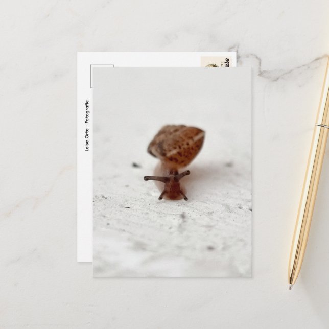 Carte Postale Petit voyage – escargot sur fond clair (Devant/Arrière en situation)