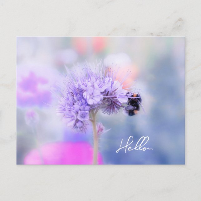 Carte Postale Petite abeille (Devant)