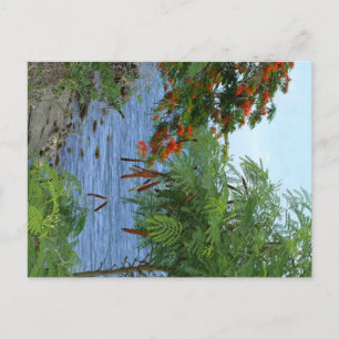 Carte Postale Petite Anse - Martinique, FWI