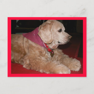 Carte Postale petite fille