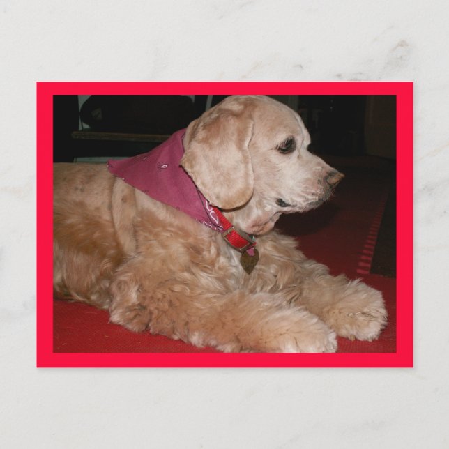 Carte Postale petite fille (Devant)