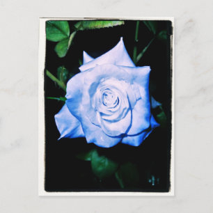 Carte Postale Petite princesse bleue