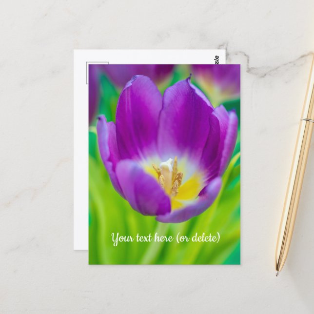 Carte Postale Petite Tulipe Violette (Devant/Arrière en situation)