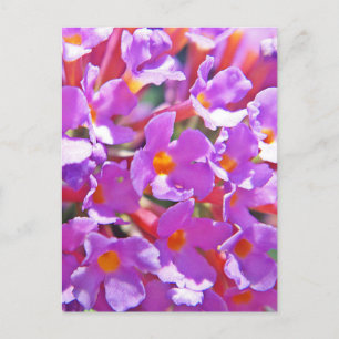 Carte Postale Petites fleurs mignonnes violettes