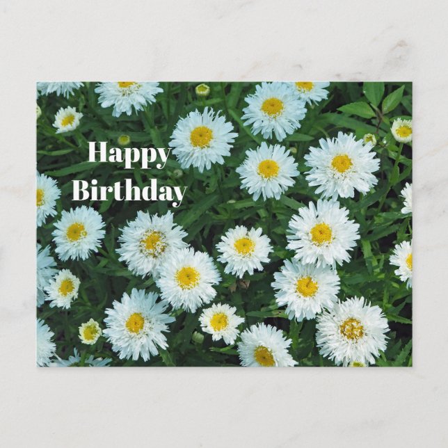 Carte Postale Petites Pâquerettes Floral Photo Anniversaire (Devant)