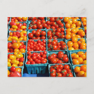 Carte Postale Petites tomates rouges et orange