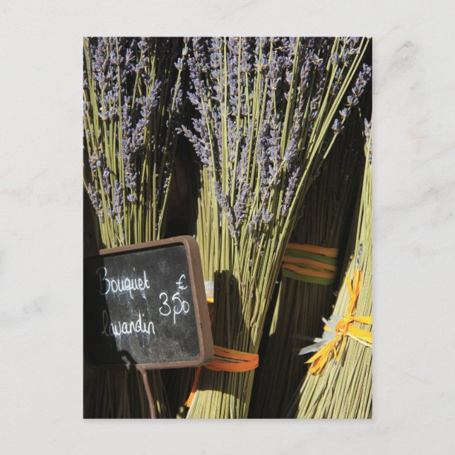 Carte Postale Petits bouquets de lavande (Devant)