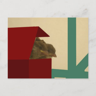 Carte Postale Petits oiseaux