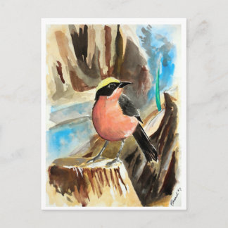 Carte Postale Petits oiseaux #7