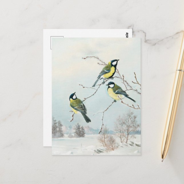 Carte Postale Petits oiseaux mignons par Matti Karppanen, Oiseau (Devant/Arrière en situation)