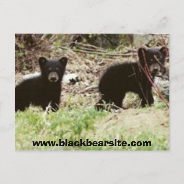 Carte Postale petits, www.blackbearsite.com (Devant)