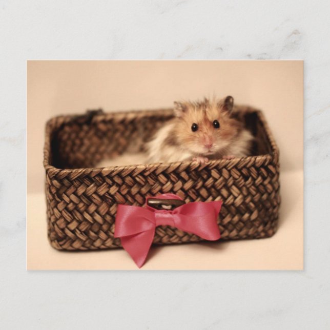 Carte postale PetL0ve (Devant)