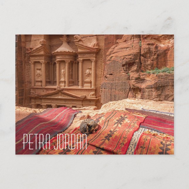 Carte postale Petra Jordan cat (Devant)