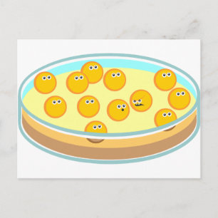 Carte Postale Petri Disque MRSA