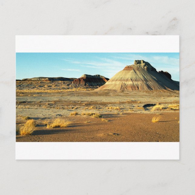 Carte Postale Petrified Forest Desert Arizona Paysage Photo (Devant)