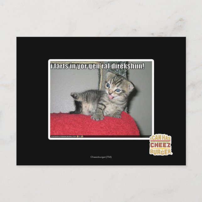 Carte Postale Pets I dans le direkshun gen'ral de yor (Devant)