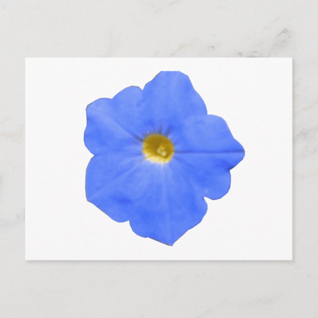Carte postale Petunia bleu et jaune (Devant)