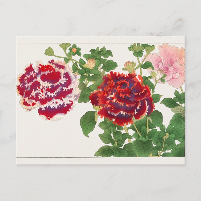 Carte Postale Pétunia par Tanigami Konan (Devant)