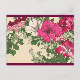 Carte Postale Petunias