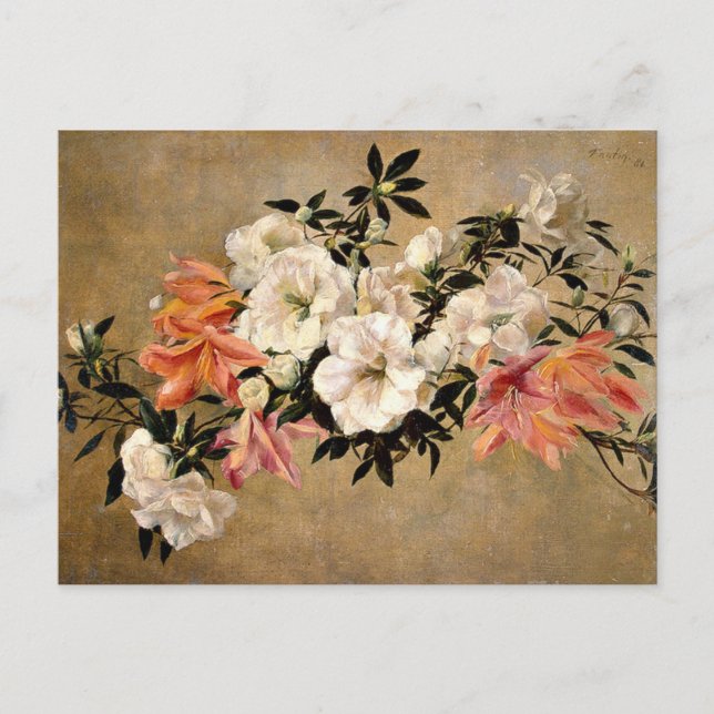 Carte Postale Petunias - Henri Fantin-Latour (Devant)