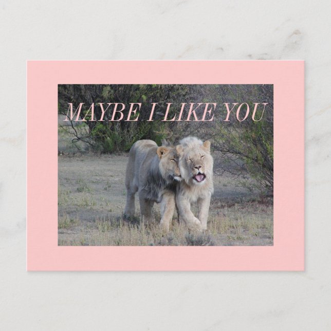 Carte Postale peut-être (Devant)