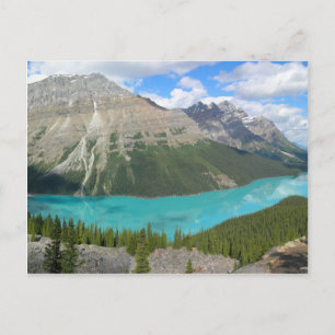 Carte Postale Peyto Glacial Lake Banff Parc Alberta Canada