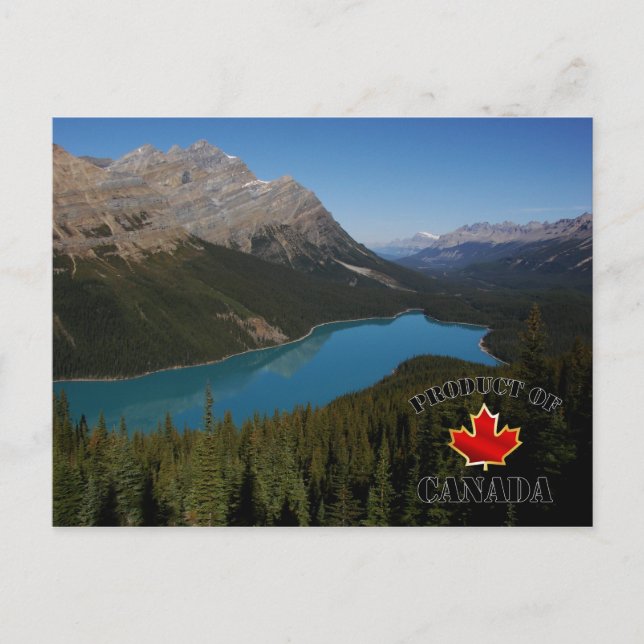 Carte Postale Peyto Lake Produit du Canada (Devant)