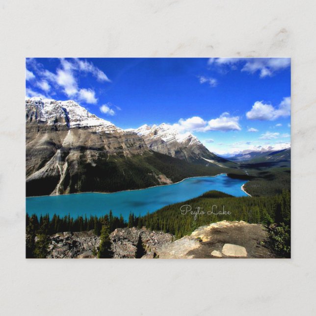Carte Postale Peyto Lake, Rocheuses canadiennes (Devant)