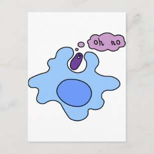 Carte Postale Phagocytose des bactéries
