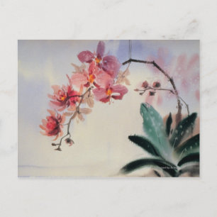 Carte Postale Phalaenopsis