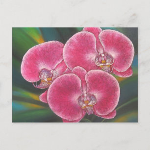 Carte Postale Phalaenopsis rose Orchidées Fleurs Peinture acryli