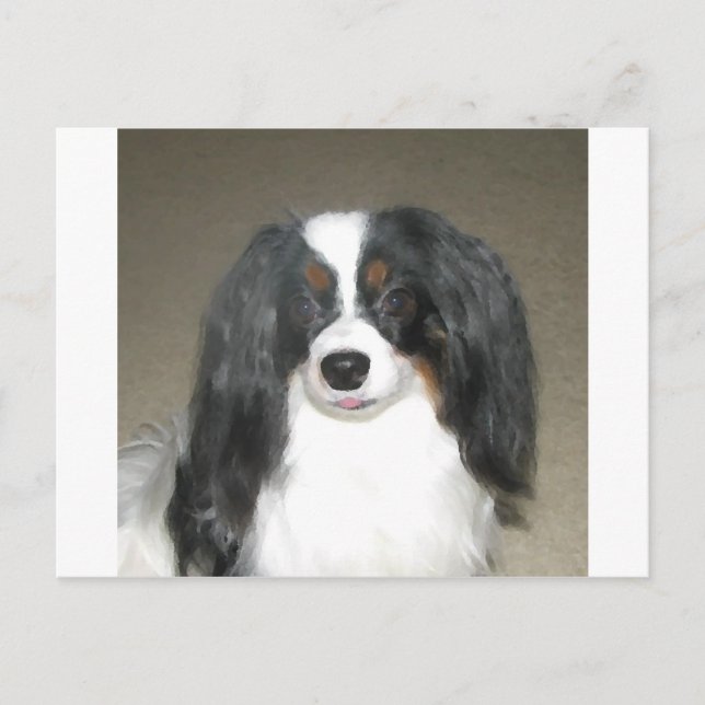 Carte Postale Phalène Papillon (Devant)