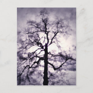 Carte postale Phantastes